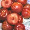 Dapple Dandy Pluot