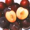 Santa Rosa Plum